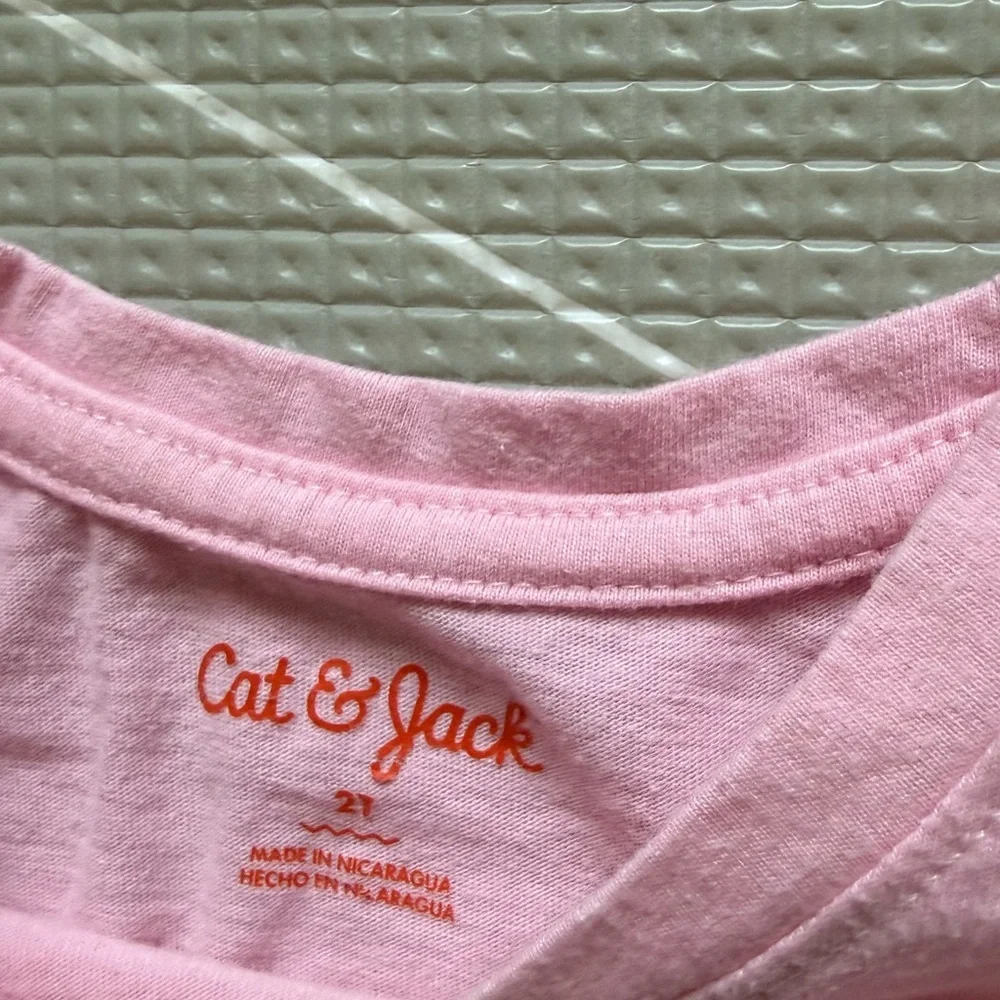 H&M|Baby girl/toddler set,Pink Cat Graphic Tee with Black soft Leggings Set•••2T